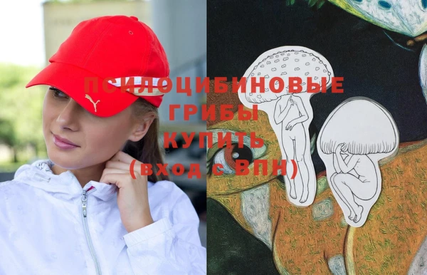 твердый Алексин