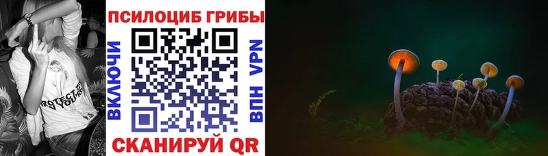 Галлюциногенные грибы MAGIC MUSHROOMS  mega   Могоча  что такое  